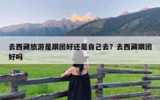 去西藏旅游是跟团好还是自己去？去西藏跟团好吗
