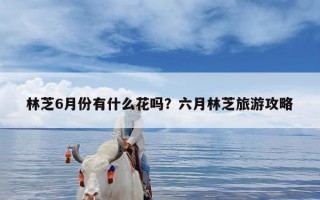 林芝6月份有什么花吗？六月林芝旅游攻略