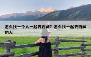 怎么找一个人一起去西藏？怎么找一起去西藏的人