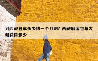 到西藏包车多少钱一个月啊？西藏旅游包车大概费用多少