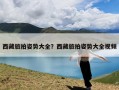 西藏旅拍姿势大全？西藏旅拍姿势大全视频