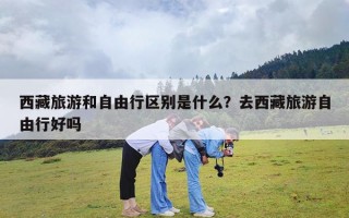 西藏旅游和自由行区别是什么？去西藏旅游自由行好吗