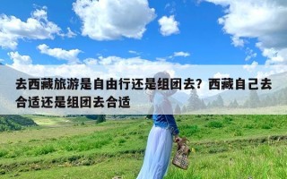 去西藏旅游是自由行还是组团去？西藏自己去合适还是组团去合适