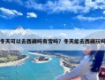 冬天可以去西藏吗有雪吗？冬天能去西藏玩吗