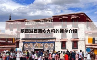 跟团游西藏吃力吗的简单介绍