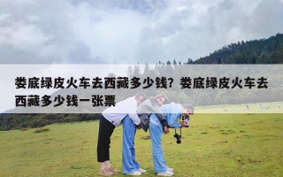 娄底绿皮火车去西藏多少钱？娄底绿皮火车去西藏多少钱一张票
