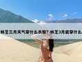 林芝三月天气穿什么衣服？林芝3月底穿什么