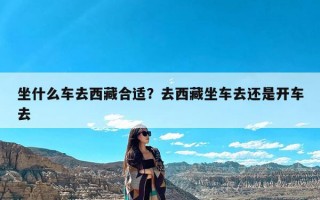 坐什么车去西藏合适？去西藏坐车去还是开车去