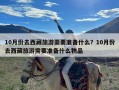 10月份去西藏旅游需要准备什么？10月份去西藏旅游需要准备什么物品