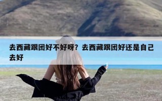 去西藏跟团好不好呀？去西藏跟团好还是自己去好