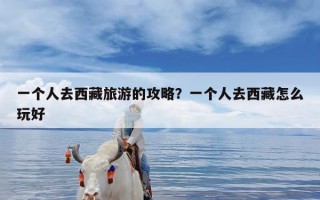 一个人去西藏旅游的攻略？一个人去西藏怎么玩好