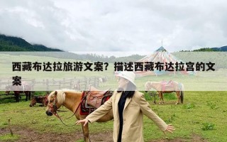 西藏布达拉旅游文案？描述西藏布达拉宫的文案