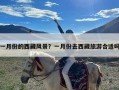 一月份的西藏风景？一月份去西藏旅游合适吗