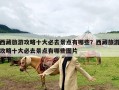 西藏旅游攻略十大必去景点有哪些？西藏旅游攻略十大必去景点有哪些图片