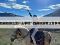 西藏旅游注意什么事项？西藏旅游要注意事项