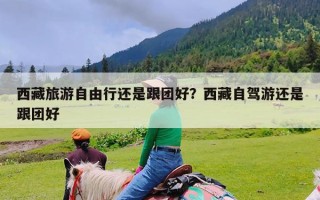 西藏旅游自由行还是跟团好？西藏自驾游还是跟团好