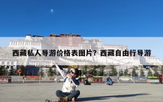 西藏私人导游价格表图片？西藏自由行导游