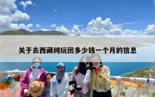 关于去西藏纯玩团多少钱一个月的信息
