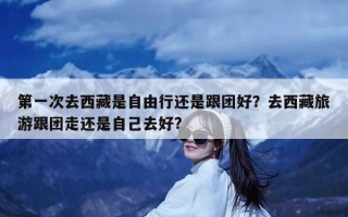 第一次去西藏是自由行还是跟团好？去西藏旅游跟团走还是自己去好?