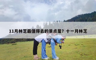 11月林芝最值得去的景点是？十一月林芝