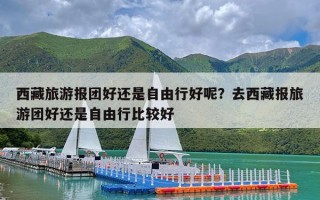 西藏旅游报团好还是自由行好呢？去西藏报旅游团好还是自由行比较好