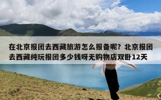 在北京报团去西藏旅游怎么报备呢？北京报团去西藏纯玩报团多少钱呀无购物店双卧12天