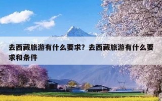 去西藏旅游有什么要求？去西藏旅游有什么要求和条件