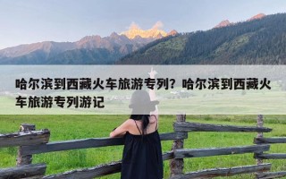 哈尔滨到西藏火车旅游专列？哈尔滨到西藏火车旅游专列游记