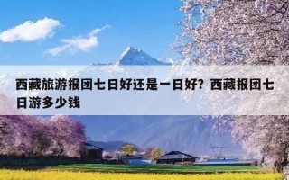 西藏旅游报团七日好还是一日好？西藏报团七日游多少钱