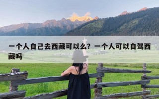 一个人自己去西藏可以么？一个人可以自驾西藏吗