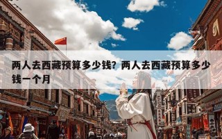 两人去西藏预算多少钱？两人去西藏预算多少钱一个月