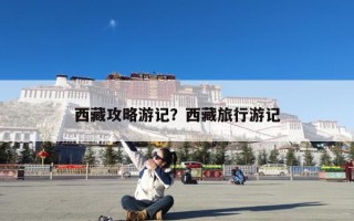 西藏攻略游记？西藏旅行游记