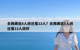 去西藏选8人团还是12人？去西藏选8人团还是12人团好
