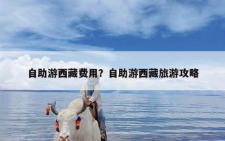 自助游西藏费用？自助游西藏旅游攻略