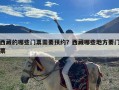 西藏的哪些门票需要预约？西藏哪些地方要门票