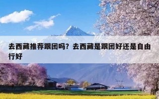 去西藏推荐跟团吗？去西藏是跟团好还是自由行好