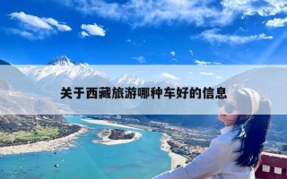 关于西藏旅游哪种车好的信息