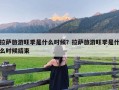拉萨旅游旺季是什么时候？拉萨旅游旺季是什么时候结束