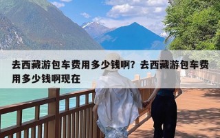 去西藏游包车费用多少钱啊？去西藏游包车费用多少钱啊现在