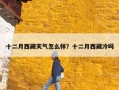 十二月西藏天气怎么样？十二月西藏冷吗