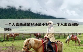 一个人去西藏是好还是不好？一个人去西藏好玩吗