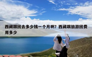 西藏跟团去多少钱一个月啊？西藏跟旅游团费用多少