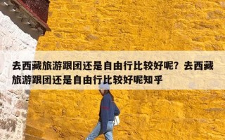 去西藏旅游跟团还是自由行比较好呢？去西藏旅游跟团还是自由行比较好呢知乎