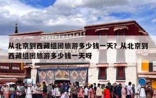 从北京到西藏组团旅游多少钱一天？从北京到西藏组团旅游多少钱一天呀