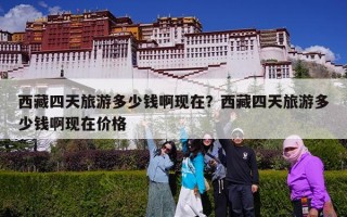 西藏四天旅游多少钱啊现在？西藏四天旅游多少钱啊现在价格
