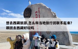 想去西藏旅游,怎么和当地旅行团联系起来？跟团去西藏好玩吗