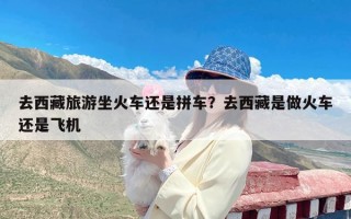 去西藏旅游坐火车还是拼车？去西藏是做火车还是飞机