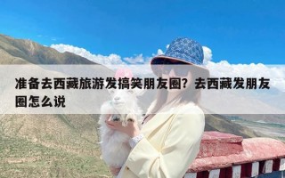 准备去西藏旅游发搞笑朋友圈？去西藏发朋友圈怎么说