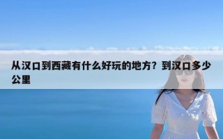 从汉口到西藏有什么好玩的地方？到汉口多少公里