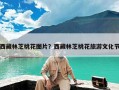 西藏林芝桃花图片？西藏林芝桃花旅游文化节